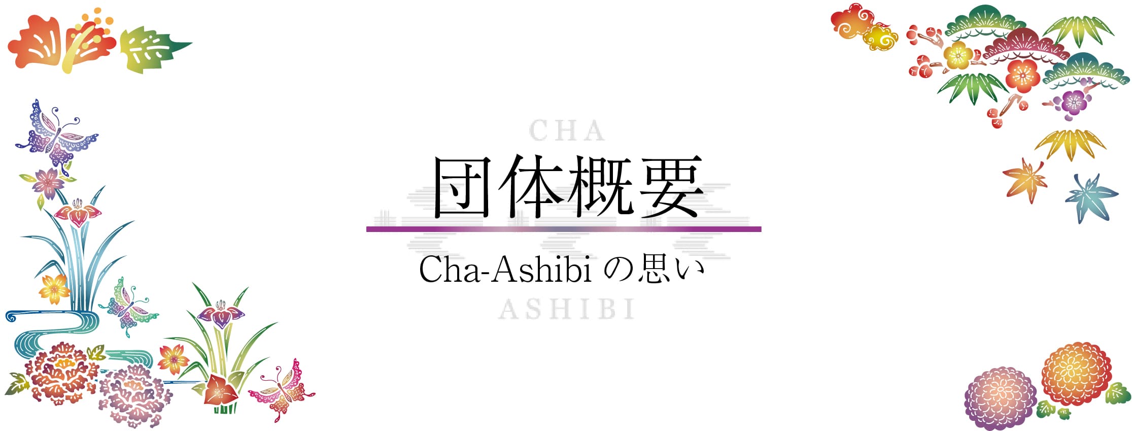 団体概要