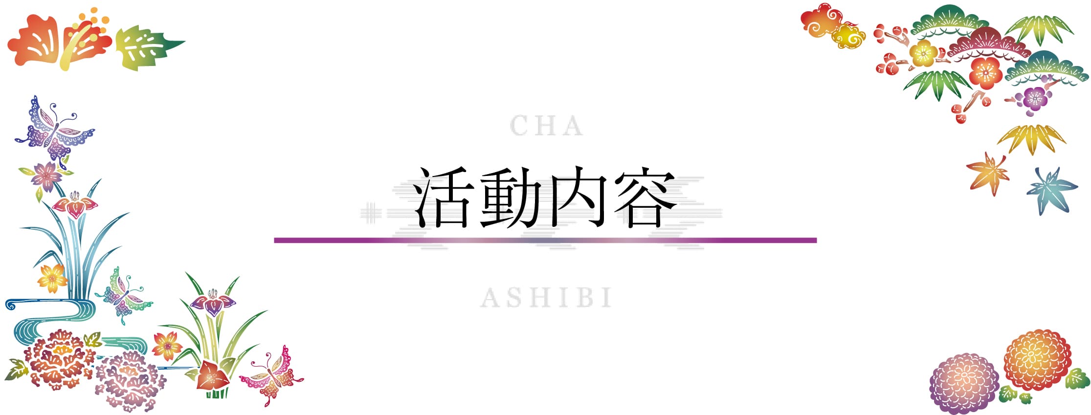 活動内容